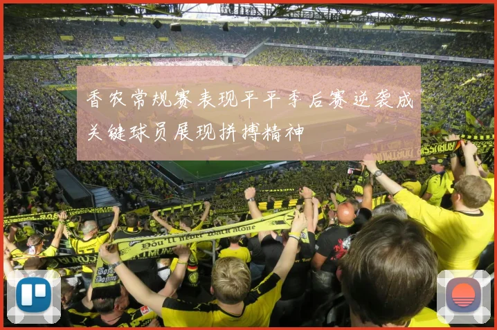香农常规赛表现平平季后赛逆袭成关键球员展现拼搏精神